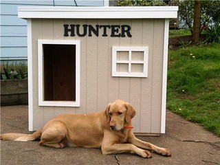 Hunter - Oregon